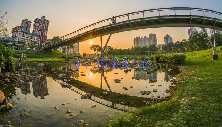Blk 310B Ang Mo Kio Avenue 1 (Ang Mo Kio), HDB 5 Rooms #162588852